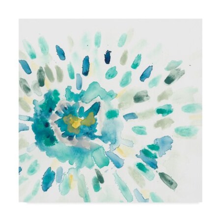 June Erica Vess 'Starburst Floral I' Canvas Art,24x24